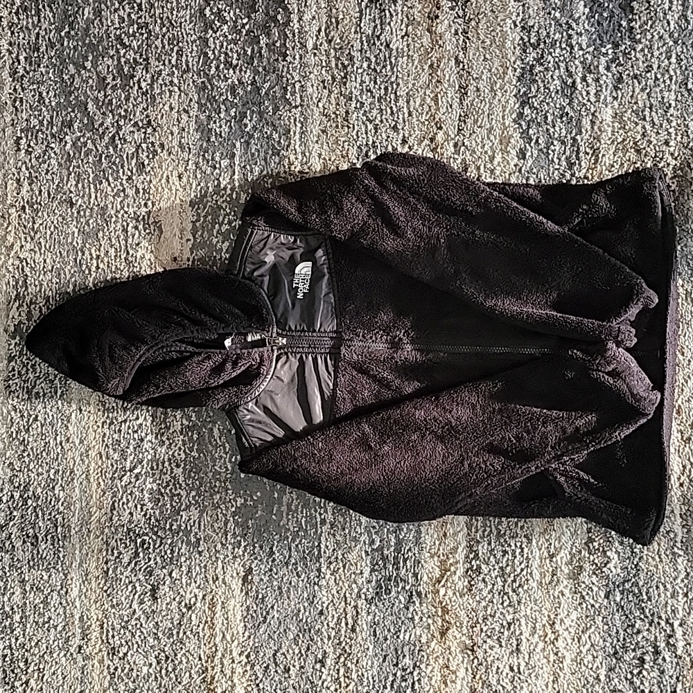 The north face jacket